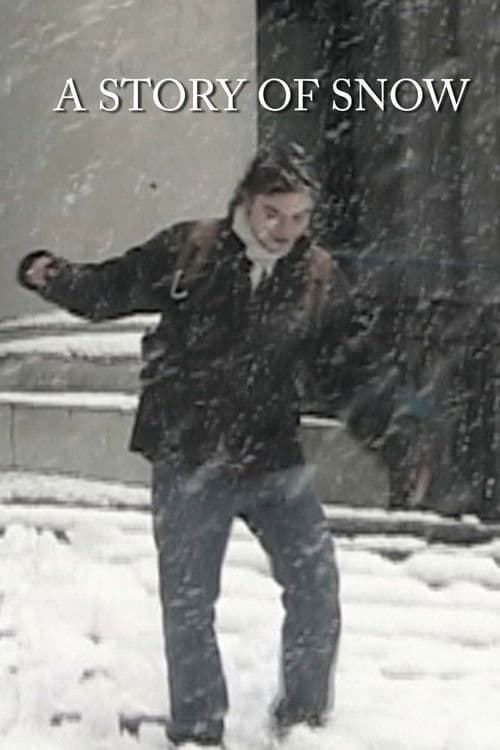 A Story of Snow poster