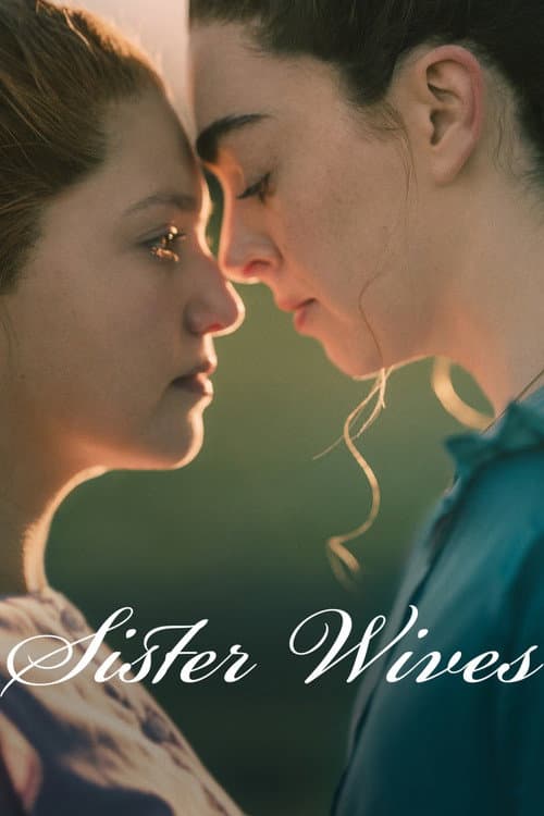Sister Wives poster