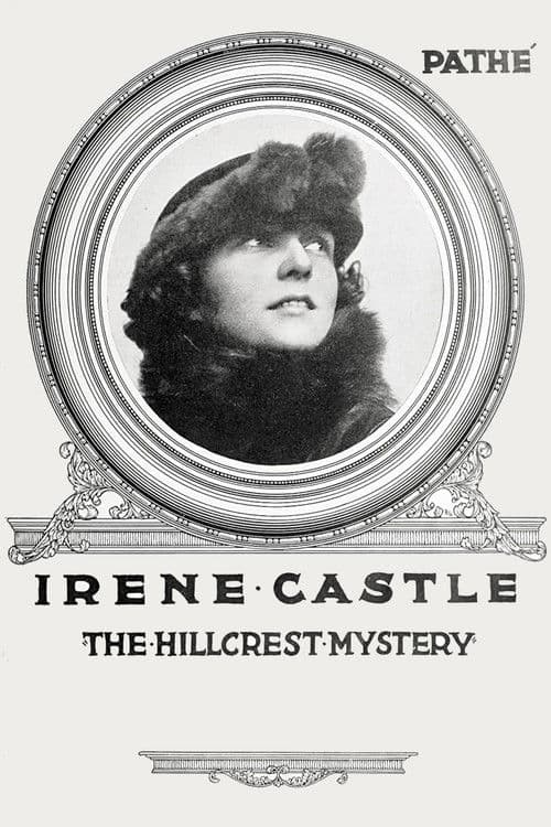 The Hillcrest Mystery poster