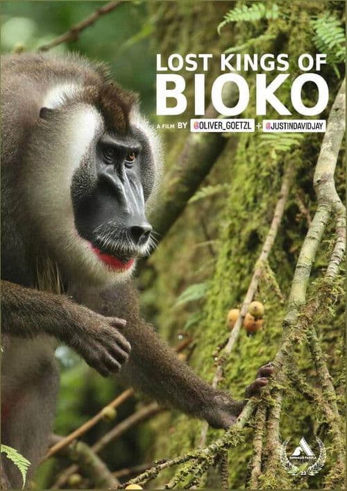 Lost Kings of Bioko poster
