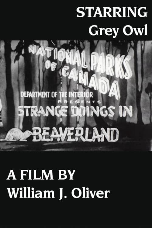 Strange Doings in Beaverland poster