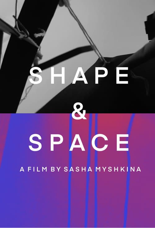 Shape&Space poster
