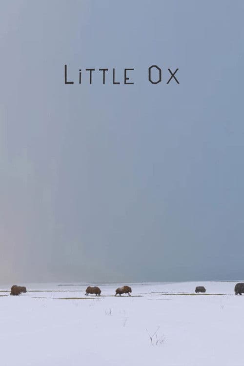 Little Ox poster