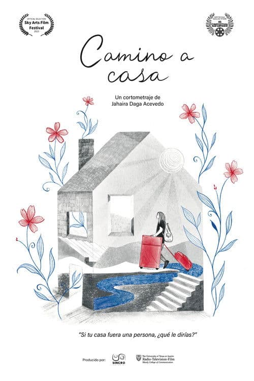 Camino a casa poster