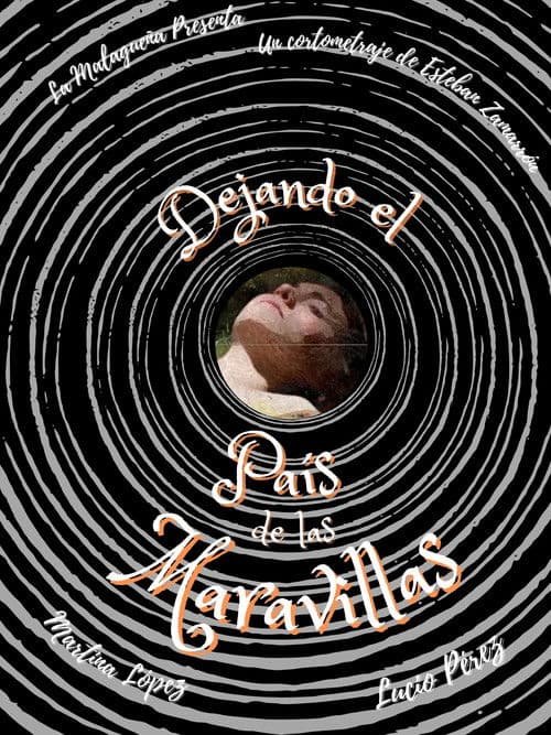 Leaving Wonderland poster