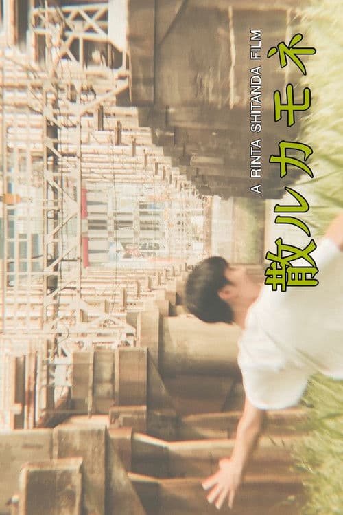 散ルカモネ poster