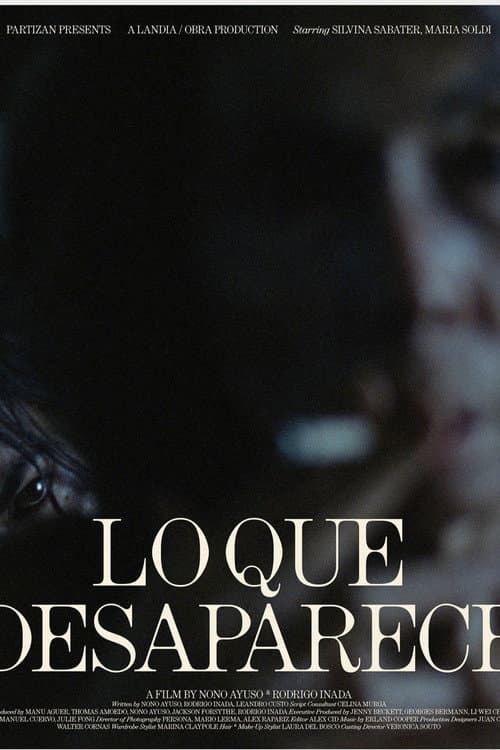 Lo Que Desaparece poster