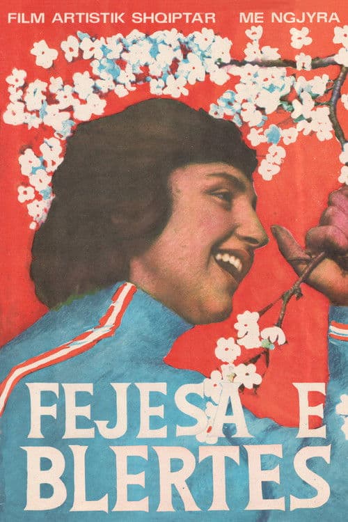 Blerta's Engagement poster