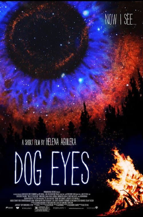 Dog Eyes poster