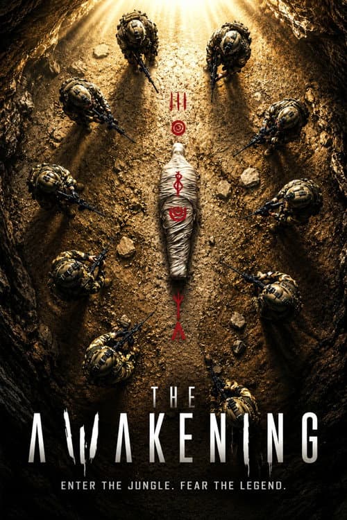The Awakening poster