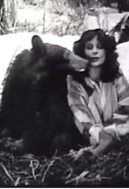 The Light on Lookout Mountain poster