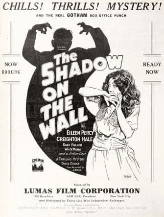 The Shadow on the Wall poster