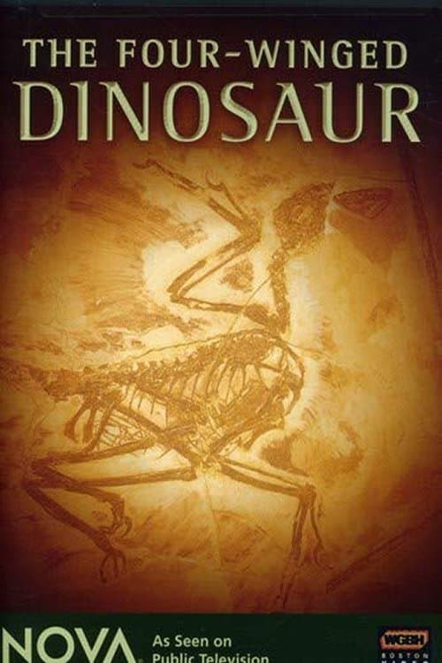 The Four-Winged Dinosaur poster