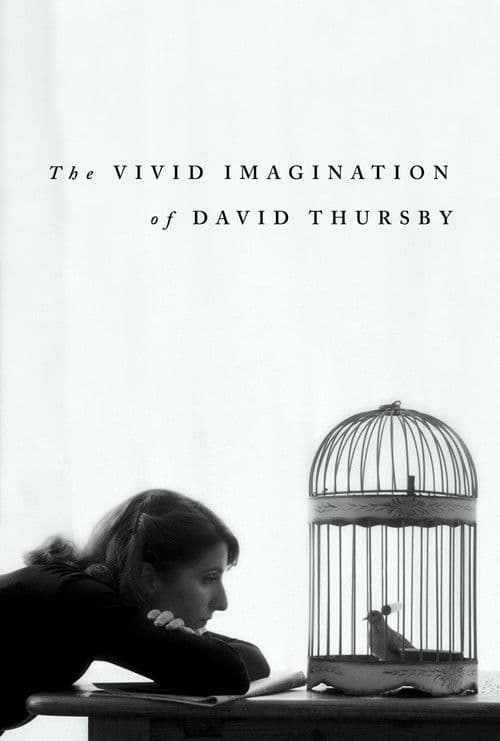 The Vivid Imagination of David Thursby poster