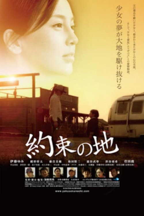 The Promised Land poster