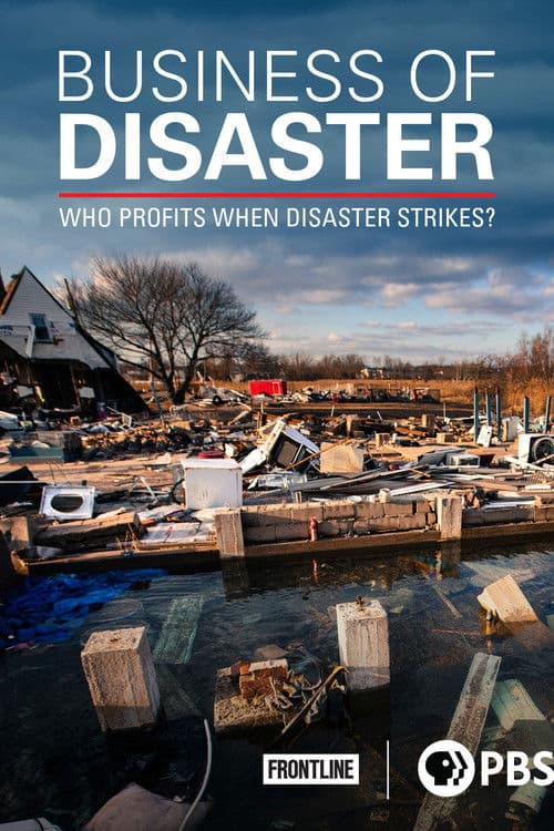 Business of Disaster poster