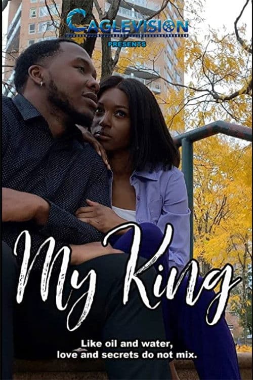 My King poster