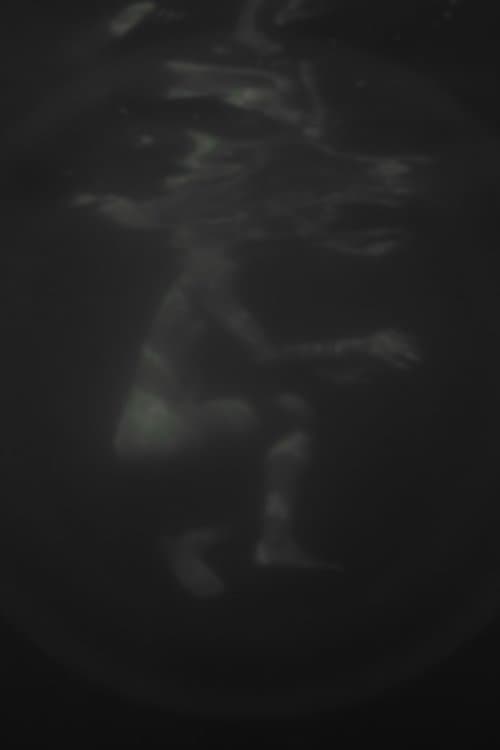 Hazug disznók az álmok is poster