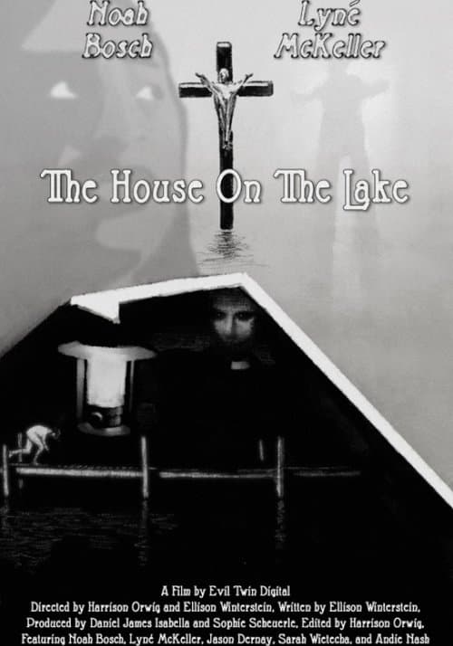 The House On The Lake poster