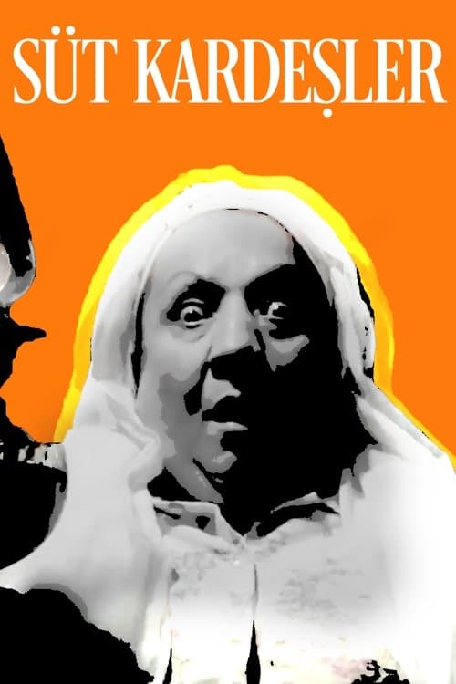 The Foster Brothers poster