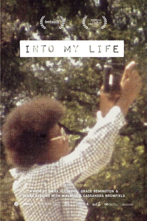 Into My Life poster
