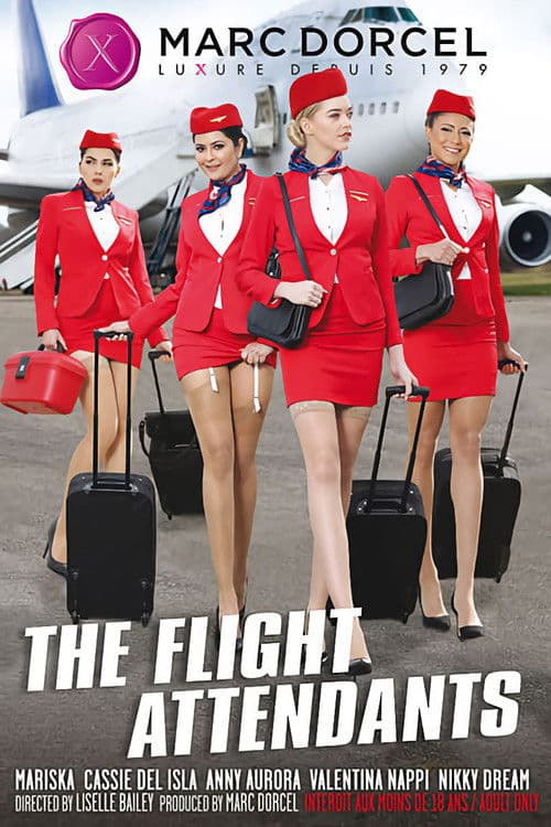 The Flight Attendants poster