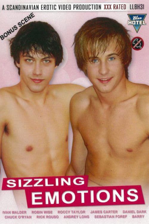Sizzling Emotions poster
