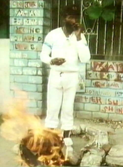 Jools in Jamaica poster