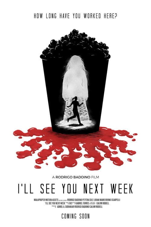 I’ll See You Next Week poster