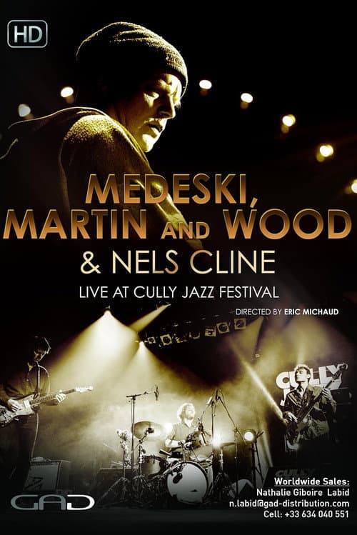 Medeski, Martin & Wood, Nels Cline - Cully Jazz Festival poster
