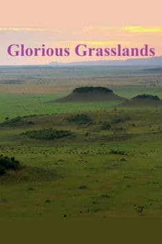 Glorious Grasslands poster