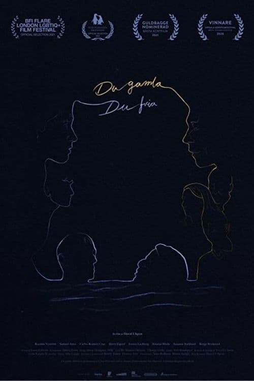 Land of the Free poster