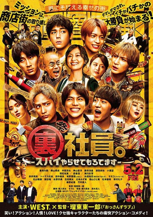 Mission: Sorta Possible poster