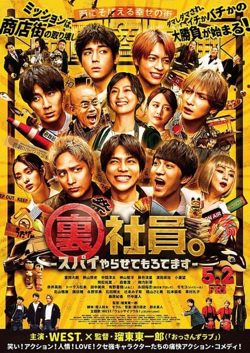 Mission: Sorta Possible poster