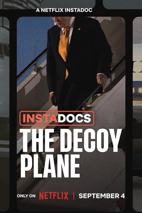 Instadocs: The Decoy Plane poster