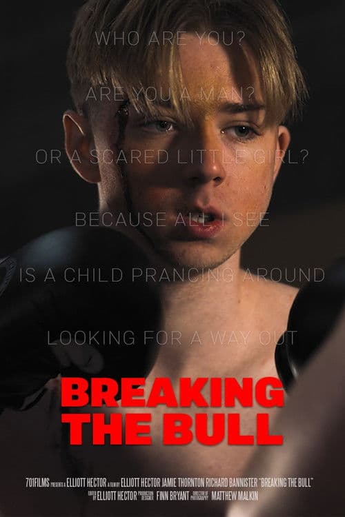 Breaking the Bull poster