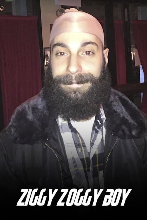 Ziggy Zoggy Boy poster