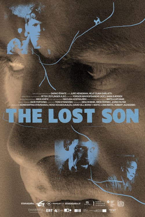 The Lost Son poster