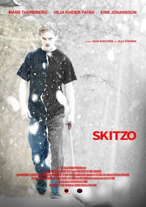 Skitzo poster