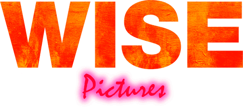 Wise Pictures