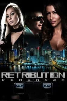 Retribution: Venganza poster