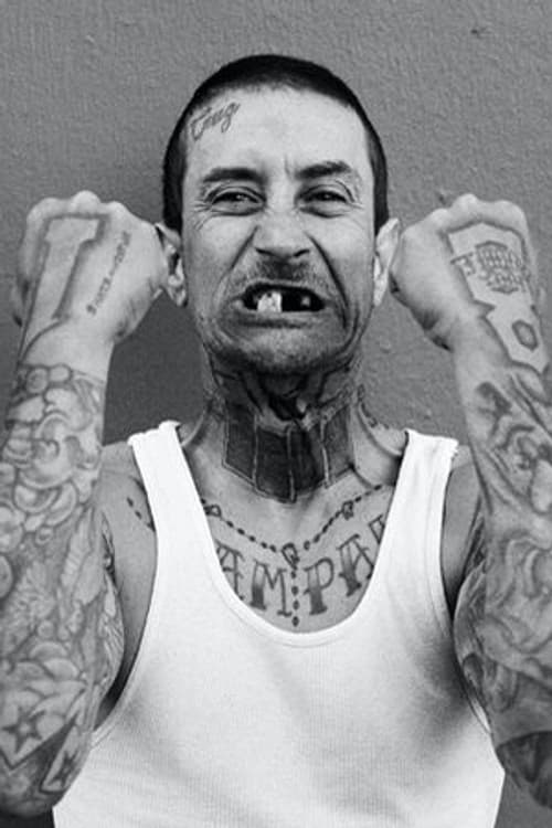 Andy Roy profile photo