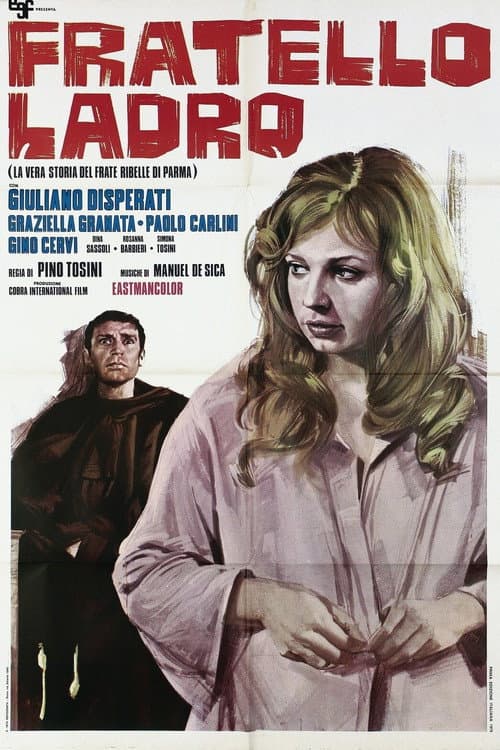 Fratello ladro poster