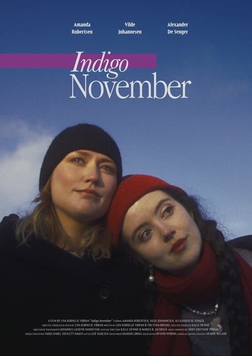 Indigo November poster