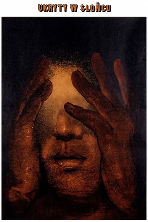 Hidden in the Sun poster