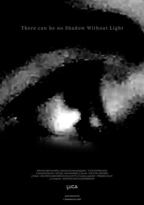 There can be no Shadow Without Light poster