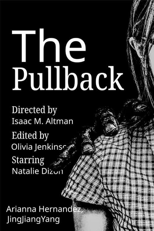 The Pullback poster