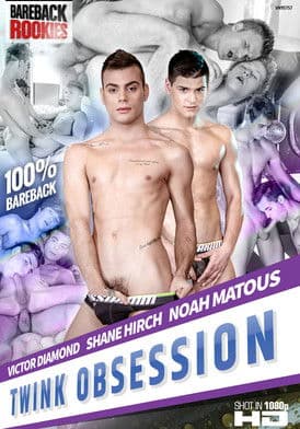 Twink Obsession poster