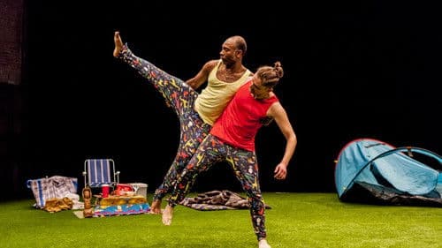 Camping sauvage poster