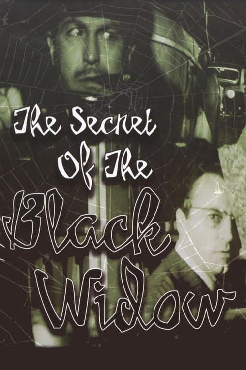 The Secret of the Black Widow poster